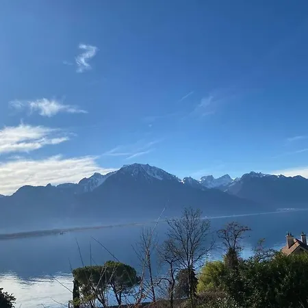 Studio Vue Panoramique Sur Le Leman Apartmán Veytaux
